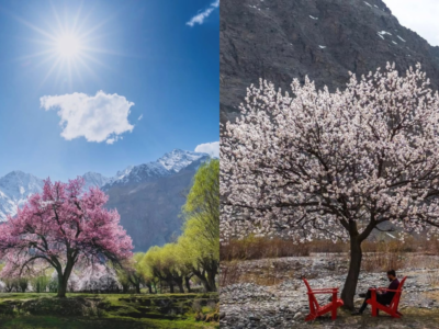 Spring Destination in Pakistan Spring Destination in Pakistan )