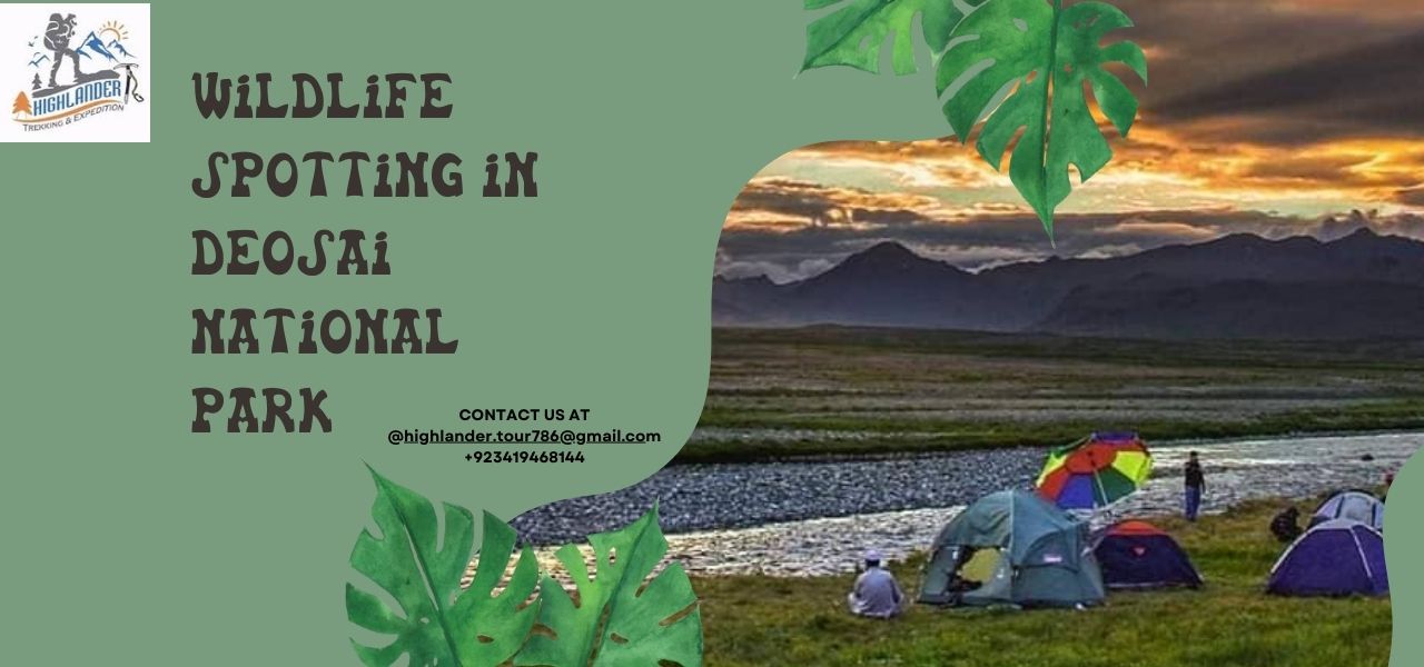 deosai weather